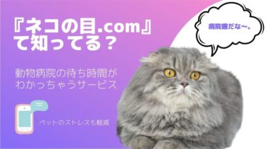 『ネコの目.com』て知ってる？